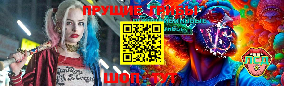Галлюциногенные грибы Cubensis  магазин    Псилоцибиновые грибы прущие грибы  Димитровград  Вход с VPN 